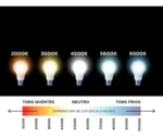 Kit 10 Lâmpadas Bulbo Led A60 15w Bivolt 6500k Elgin Luz 6500k branca fria - Imagem 4