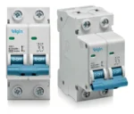 Disjuntor Bipolar Duplo Elgin 2 Polos 80a Amperes